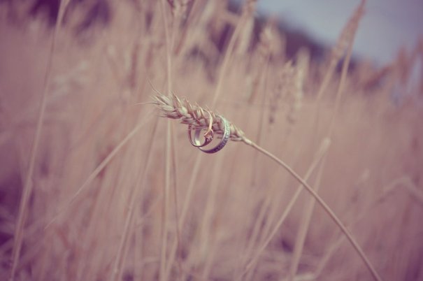 HpIOUVZjRwU HpIOUVZjRwU