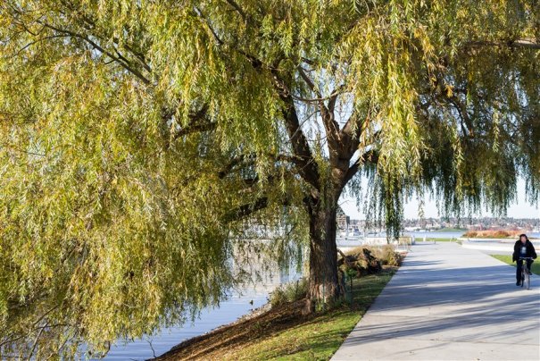 24 ACR обработка