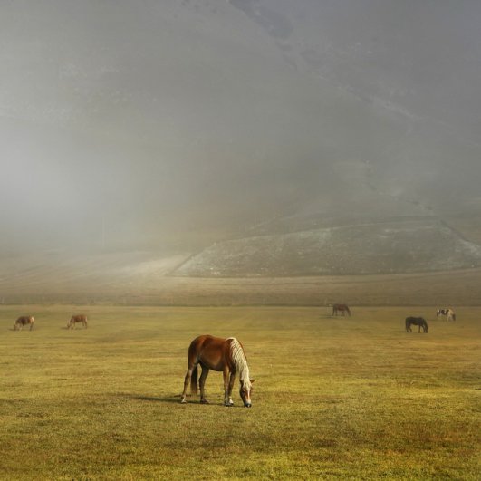 Фотограф Эдмондо Сенаторе/Edmondo Senatore - №3