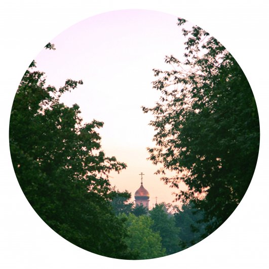 GFRANQ_VERONIKA_9_37261110_