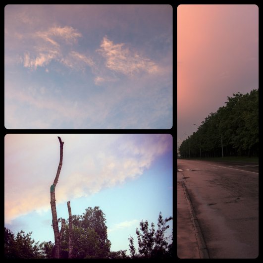 GFRANQ_VERONIKA_9_37261693_