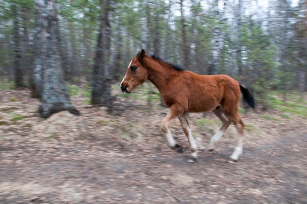 задание - показать движение задание - показать движение