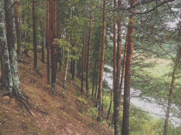 02-03-2013-43 02-03-2013-43