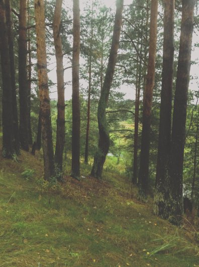 02-03-2013-45 02-03-2013-45