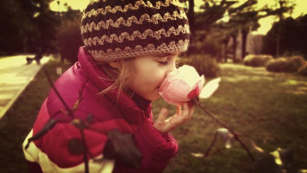 Это самые первые кадры, снятые еще на мыльницу. Конечно я снимала до этого, но все было на уровне - щелкнул и пойдет. Когда я решила научиться фотографировать, стать профессиональным фотографом, перечитала кучу книг и статей. Но так как у меня не было зер Это самые первые кадры, снятые еще на мыльницу. Конечно я снимала до этого, но все было на уровне - щелкнул и пойдет. Когда я решила научиться фотографировать, стать профессиональным фотографом, перечитала кучу книг и статей. Но так как у меня не было зер