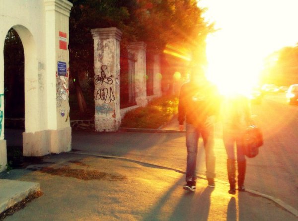 улица Сони Кривой