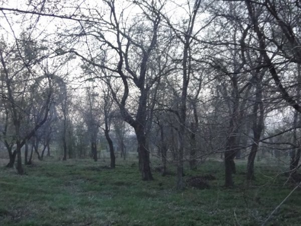 парк Троицка