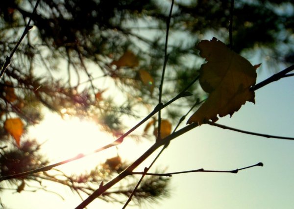 любимое место