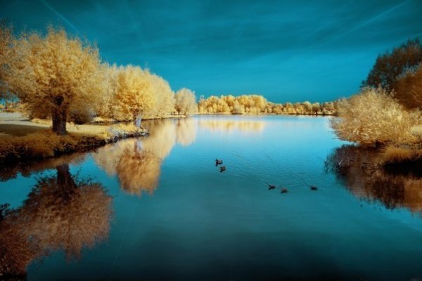 _kqF_4n2X5I