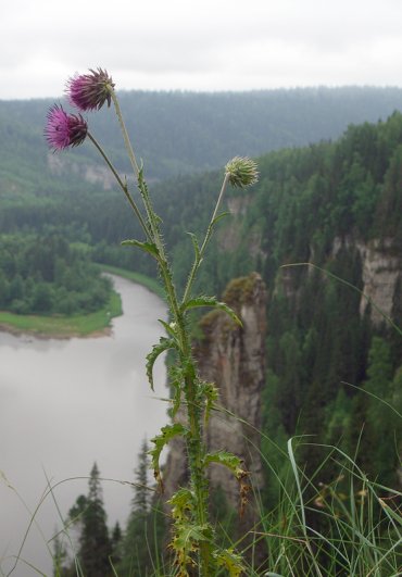 casio EX-Z750 3 casio EX-Z750 3