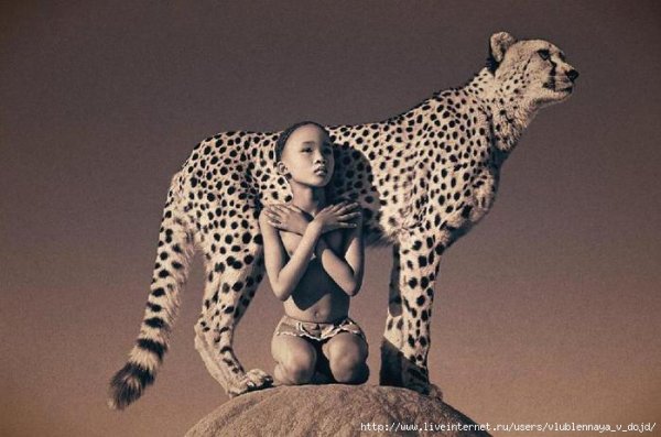 63074832_333_colbert_35