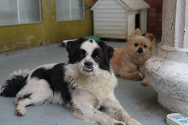 Новая sigma 50мм   f/1.4   ART - №11