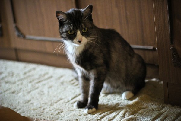 Приключение Джеки - №1 Приключение Джеки - №1