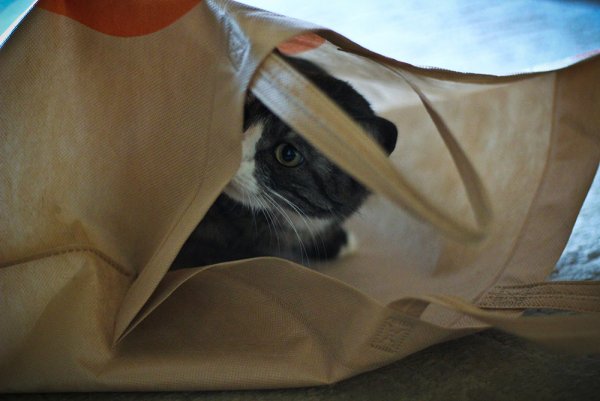 Приключение Джеки - №7 Приключение Джеки - №7