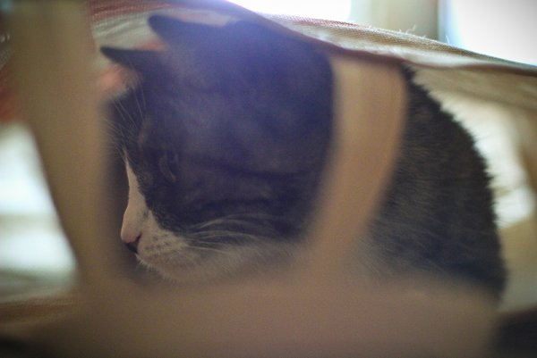 Приключение Джеки - №14 Приключение Джеки - №14