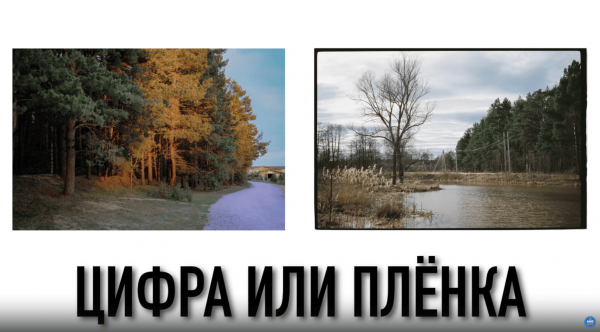 Пленка VS Цифра