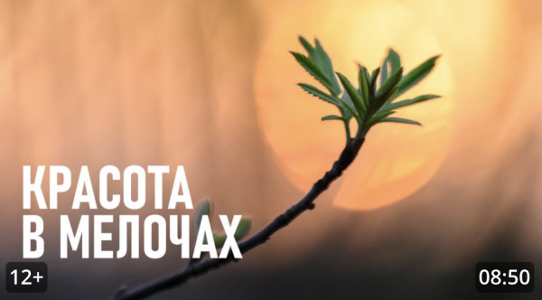 Фотография повседневного или как замечать красоту в мелочах