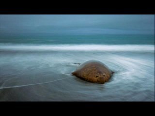 Подборка красивых фото от National Geographic