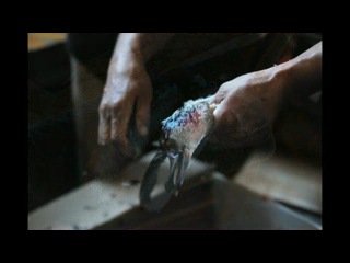 Край света. АЙАР КУО УХАН