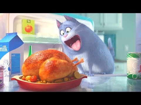 Что делают наши любимцы, когда хозяев нет дома