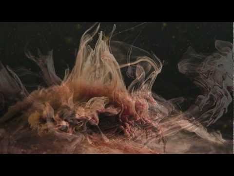 AlterActio - Luka Klikovac