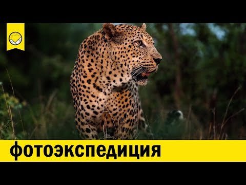 Фотоэкспедиция