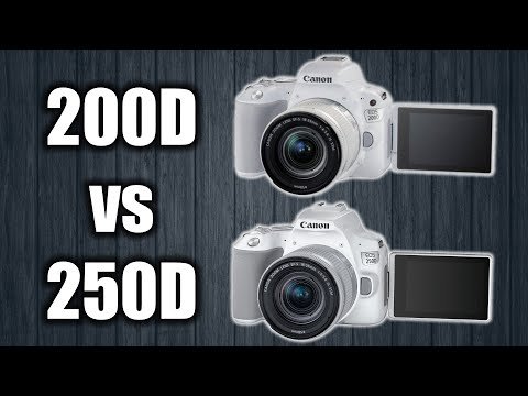 Canon 250D vs 200D