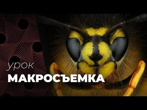 Макросъемка. Советы.