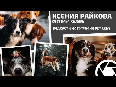 КАК ФОТОГРАФИРОВАТЬ СОБАК? ФОТОГРАФ АНИМАЛИСТ КСЕНИЯ РАЙКОВА
