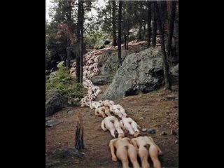 Спенсер Туник. Арт Ню