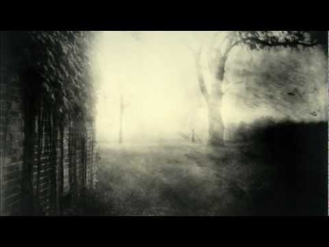 Sally Mann - Deep South