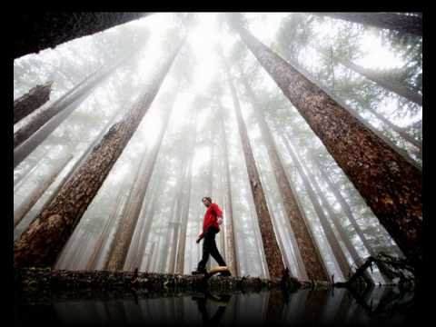 Фотоконкурс National Geographic