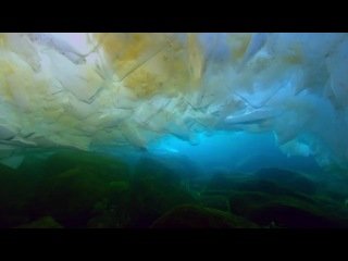 БОЖЕСТВЕННАЯ ПРИРОДА