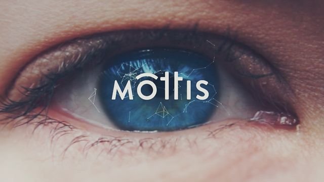 Mottis