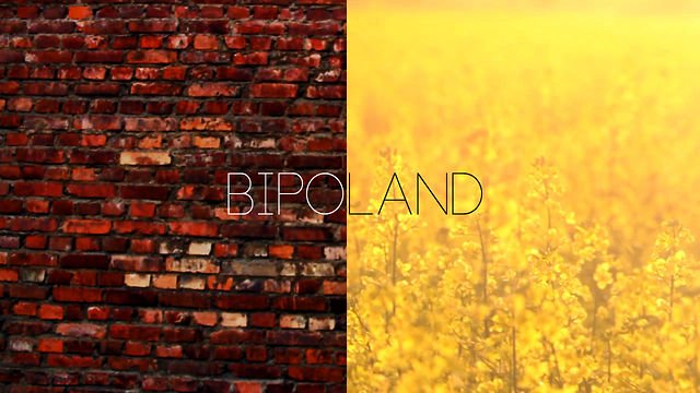 BIPOLAND