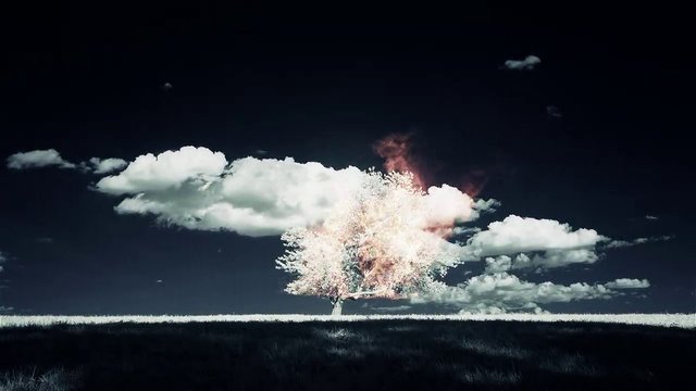 Место моей мечты