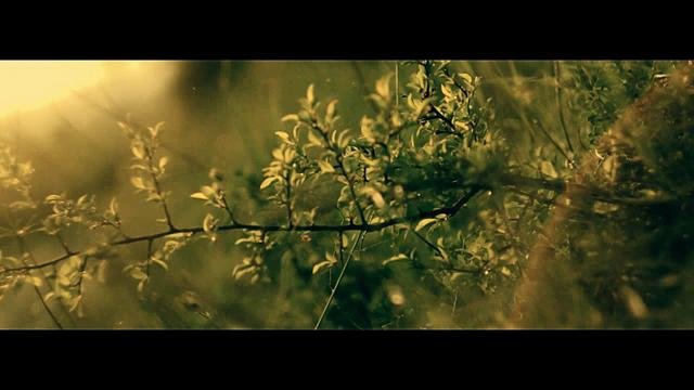 Тест Helios-44M 58/2 на Canon 550d